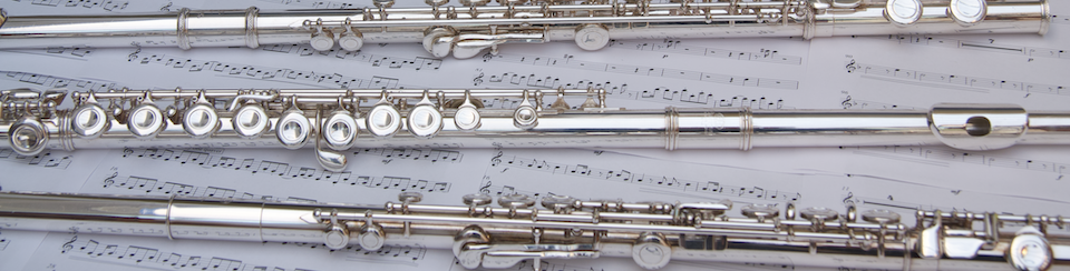 Flute Lessons